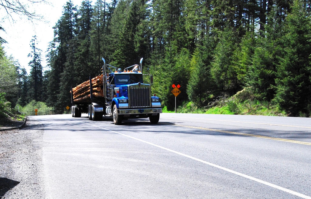 Inspectors Issued Nearly 15,000 Out-of-Service Orders in June Roadcheck