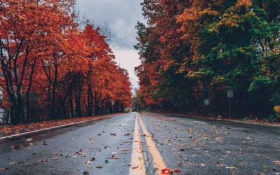 Essential Safe Driving Tips for Fall: Stay Road-Ready